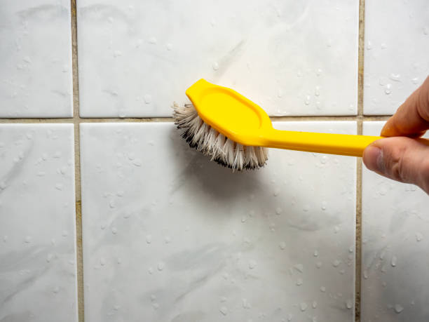 Best Commercial Mold Removal  in Lemont, IL