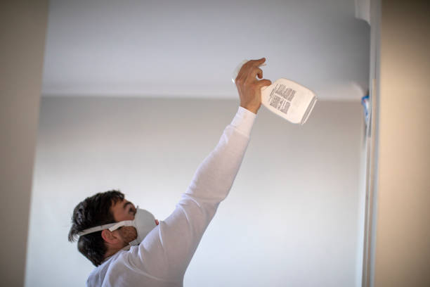 Best Attic Mold Removal  in Lemont, IL