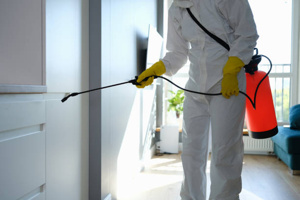 Best Office Mold Removal Services  in Lemont, IL